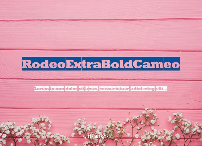 RodeoExtraBoldCameo example